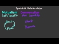 Symbiotic Relationships in Nature: Mutualism Commensalism and Parasitism