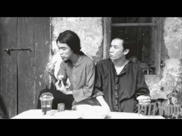 1977 Vlog - Yêu nhau trên mạng và cái kết class=