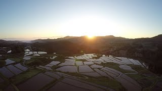 【日本の棚田百選】四ヶ村の棚田