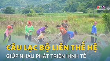 Câu lạc bộ liên thế hệ tự giúp nhau – Điểm tựa của người cao tuổi | THLC