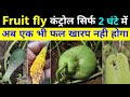 Fruit fly control insecticide       2    