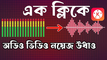 অডিও ভিডিও নয়েজ রিমুভ কাইনমাস্টার | how to remove audio noise in kinemaster 2024