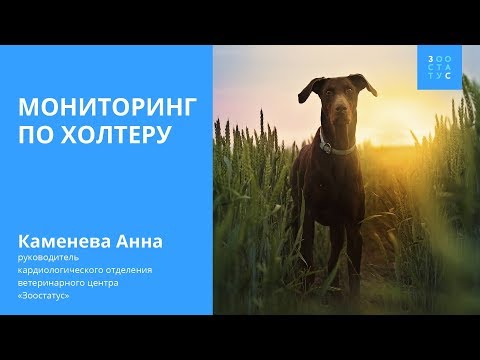 Мониторинг по Холтеру
