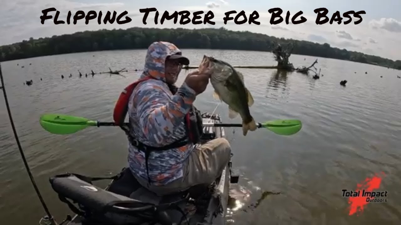 Flipping Timber for Giants #kayakbassfishing #fish #fishing #largemouthbass #outdoors