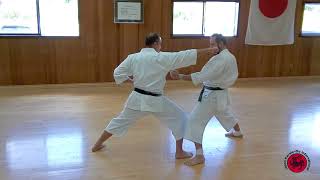 Intermediate Kihon techniques