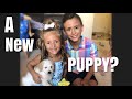 Are We Getting a New Puppy!? / Our Labor Day Weekend was AWESOME!