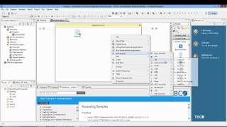 BusinessWorks Tutorial to Build a FilePoller applicaton