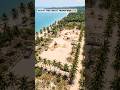 This Empty Beach Turned Into a Luxury Resort… Watch Closely 🌴