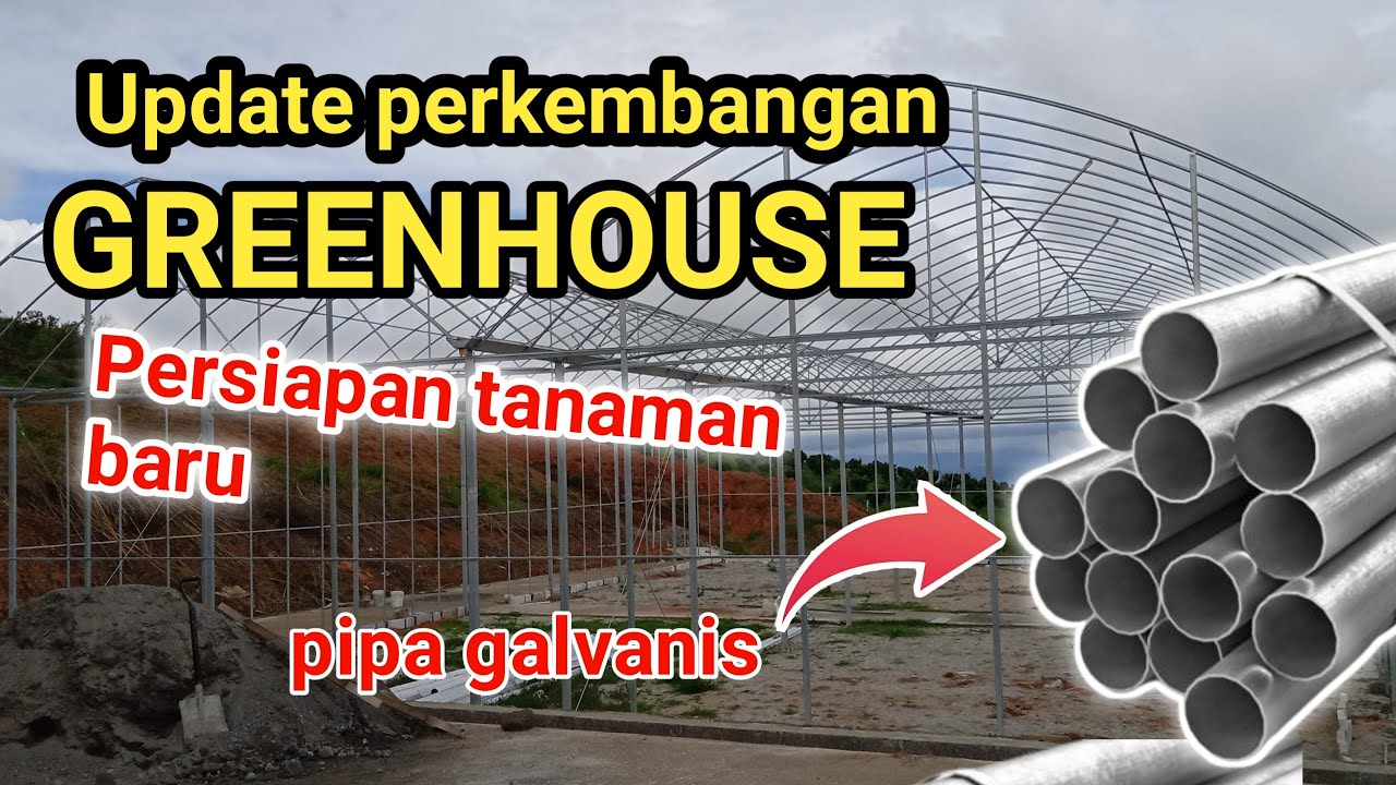 Part 2 | Update perkembangan Greenhouse hidroponik pipa gavanis
