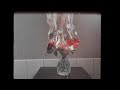 Wednesday Wonderland. - Blooms blooming in the gloom room 【Official Music Video】