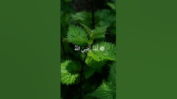 تلاوة خاشعة عبدالباسط عبدالصمد سورة الفتح #تلاوة #عبدالباسط_عبدالصمد #الفتح