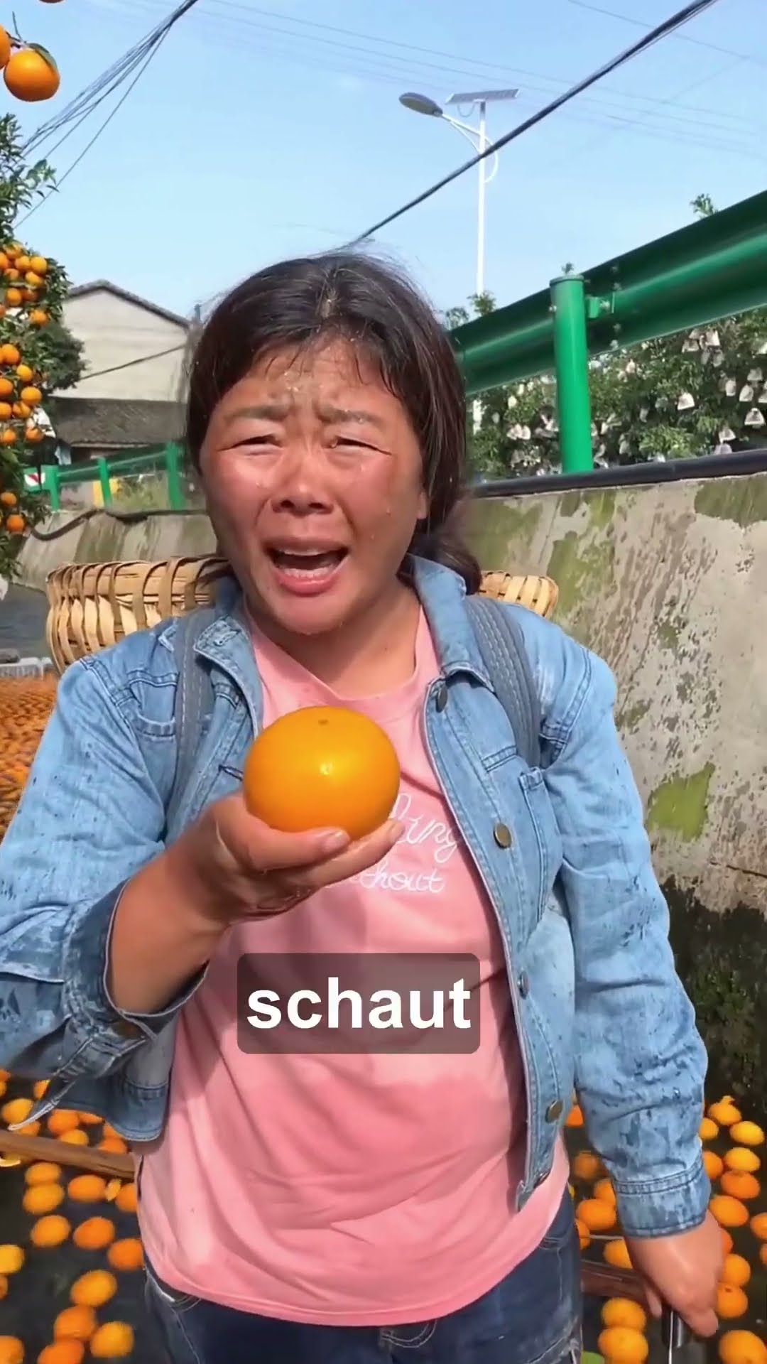 Die Leute kaufen keine Orangen 😴 - YouTube
