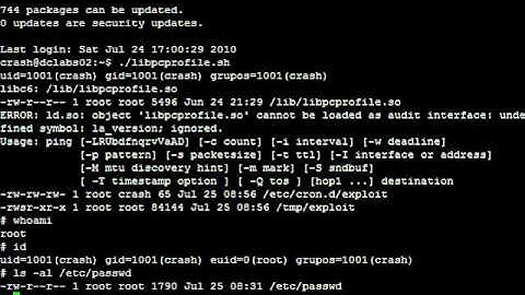 DcLabs - The GNU C library dynamic linker