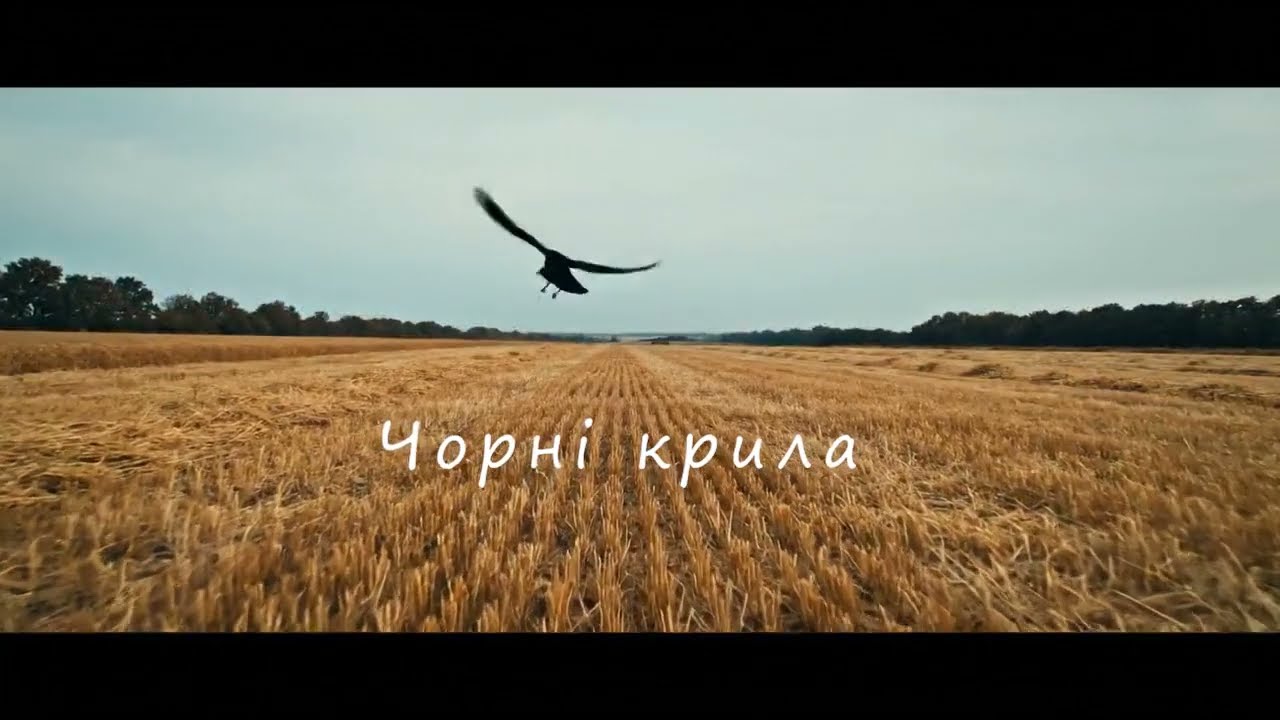 Клич - Чорні крила