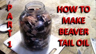 How To Sun Render Beaver Tail Oil Part 1