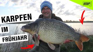 Carp fishing in spring | River fishing | Carp bait mix: boilies, pellets & tiger nuts