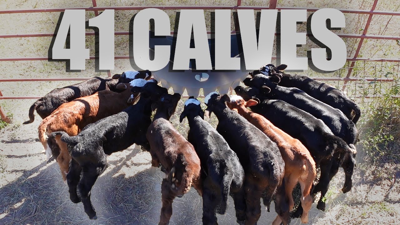 Я ЭТОГО НЕ ПЛАНИРОВАЛ!!!