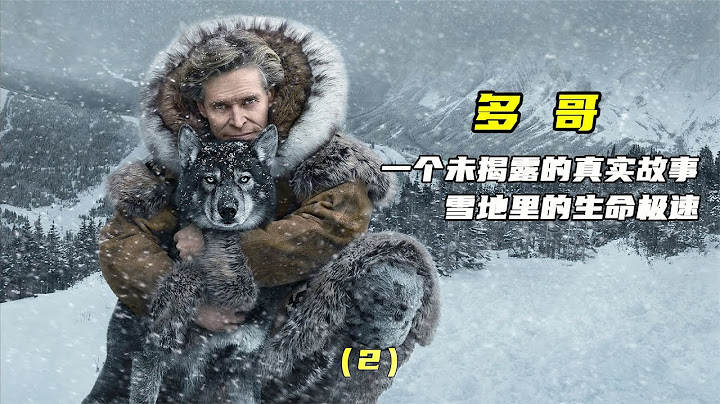 （2）你見到的二哈是不是都只會拆家的，但這只不一樣是狗中王者 #破局電影啊 #懸疑片 #電影推薦 #影視解說 #影評