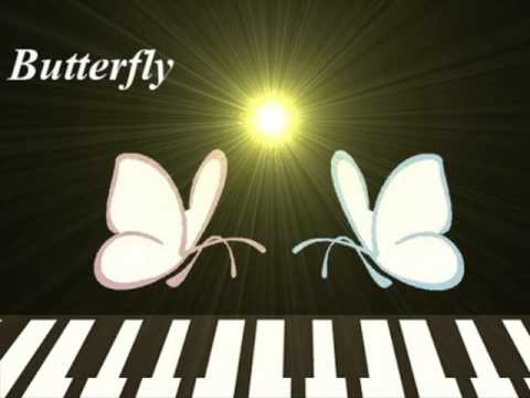 Kaela Kimura Butterfly