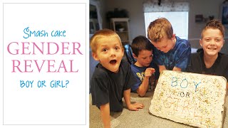 Smash Cake gender reveal with 4 boys