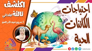 احتياجات الكائنات الحية | اكتشف تالتة ابتدائي | الاسكوله