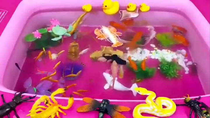 Let's explore what fish and sea creatures there are:sharks,jellyfish#goldfish#animals#viral videos