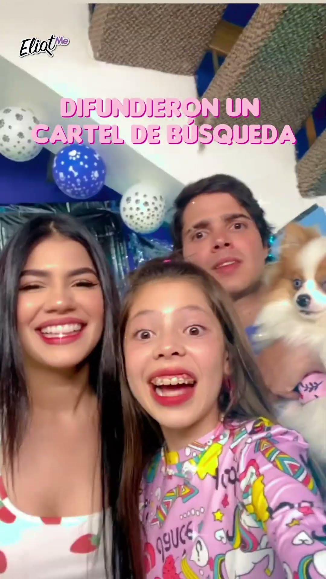 ¡SE LLEVARON A LA PERRITA DE CELESTE AVENTURERA! #Shorts