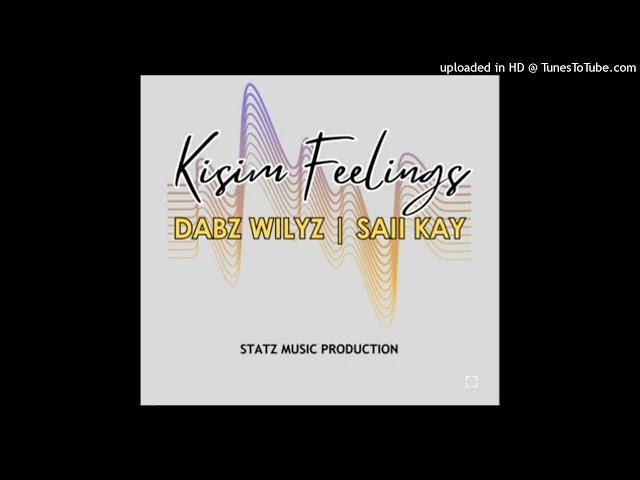 Dabz Wilyz - (KISIM FEELINGS) feat. Saii Kay [Audio] 2024 class=