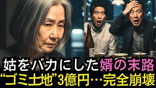 姑を嘲笑い続けた婿… “ゴミ土地”が3億円に化けた日｜#奇跡の人生ドラマ｜オーディオブック｜