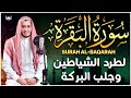                        سورة البقره                                       