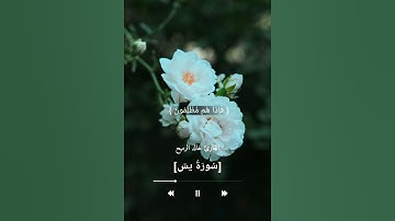 تلاوة من سورة {يس}  للقارئ خالد الرميح