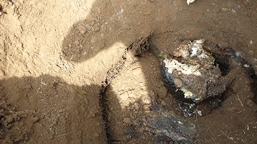 Septic clogged inlet baffle