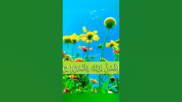 سورة ( الكوثر) مكتوبة بصوت القارئ (عامر الكاظمي)