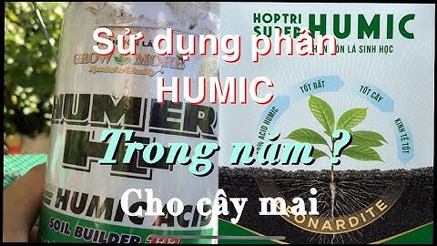 Cách sử dụng phân HUMIC cho cây mai trong cả năm như thế nào ?