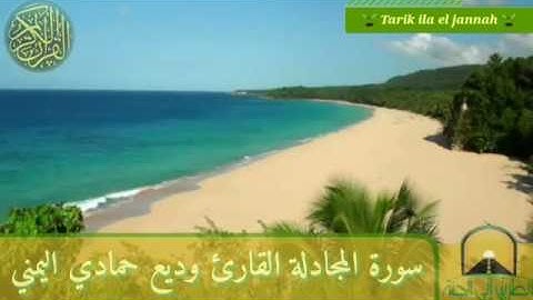 ‏سورة المجادلة طهر مسامعك بذكر اللّـﮧ القارئ وديع حمادي اليمني