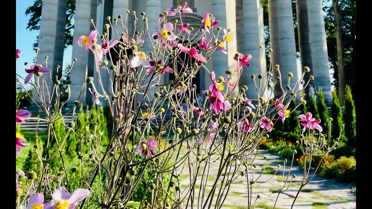 Сад душі моєї весь засмічений (о.Василь Карбунишин і Августин Лишик) 