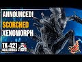 ANNOUNCED Hot Toys SCORCHED XENOMORPH! Announcement Photos Reaction