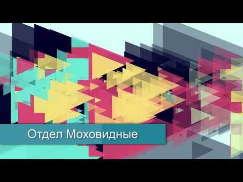 "Отдел Моховидные", Биология 7 класс, Сивоглазов