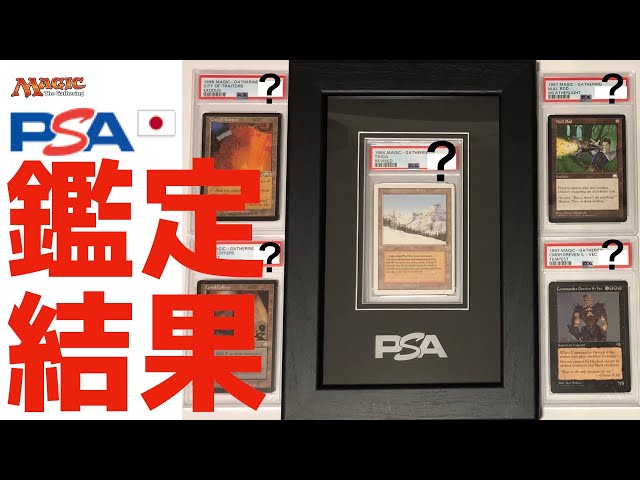 【値下げ】PSA10 / MTG PLAINS （平地）鑑定枚数世界1枚 MTG】世界に1枚！？ PSA鑑定結果を大公開！ - YouTube