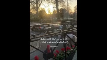 أُولَٰئِكَ يُسَارِعُونَ فِي الْخَيْرَاتِ وَهُمْ لَهَا سَابِقُونَ (61) سورة المؤمنون عبدالرحمن مسعد