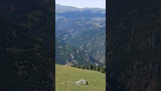 Katip Bayraktar söyle emice söyle