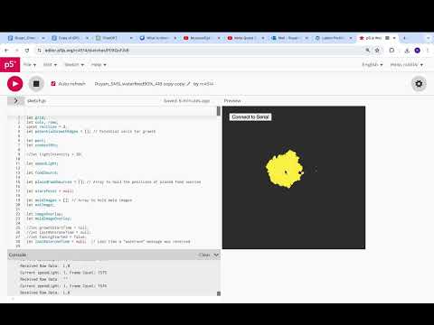 An Interactive Simulation of Slime Mold