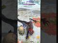 10★ Ebony Odogaron vs Crater Impact Radobaan Hammer - MHNow #monsterhunter #mhnow  #モンハン #モンハンnow