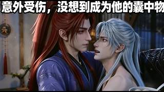 【新番上线丨MULTI SUB】双男主剧情《意外受傷，沒想到竟成了他的囊中物》千万播放爆款流量漫剧 【合集】#雙男主 #漫劇 #原創動畫 #耽美 #腐女子 #腐漫 #ai #短劇#bl