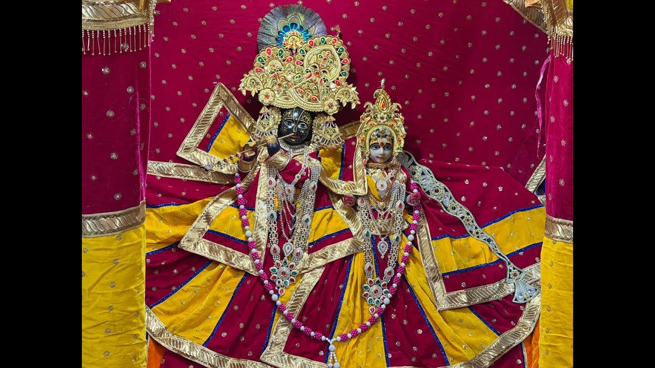 समाज गायन एवं शयन आरती दर्शन  Today