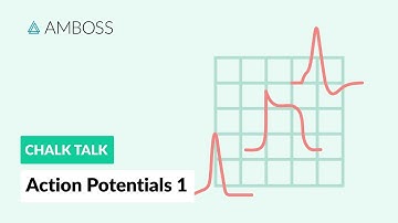 Action Potentials - Part 1: What is an Action Potential?