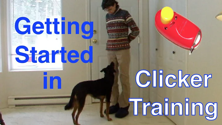 Getting Started with Clicker Training-Basic Techni...