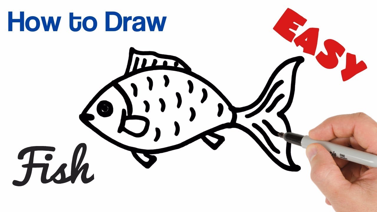 How to Draw a Fish 🐟 #drawing #draw #fish #art #fishart Bring