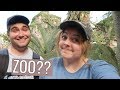Our Thoughts on Disney's Animal Kingdom