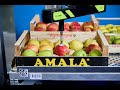 Demo MELA – Linea completa di visione artificiale per l'ispezione e classificazione delle mele